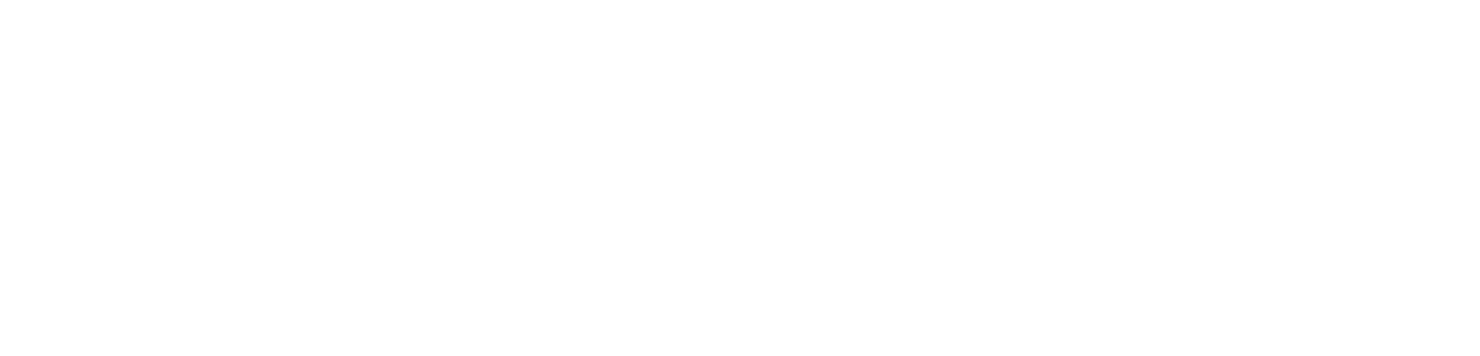 Birdeye Birdeye